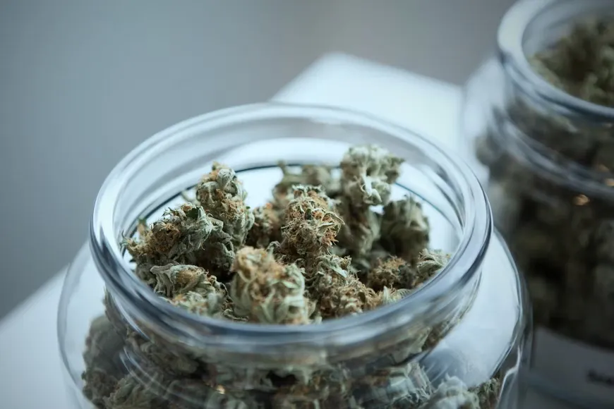 Cannabis flower being shown in a jar for Natural Remedies in Portland.