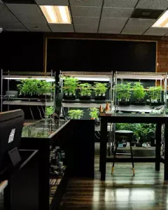 Natural Remedies PDX East Store
