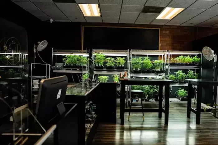 The inside of Natural Remedies East Store in Portland Oregon