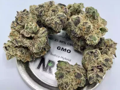 Natural Remedies - GMO - Strain