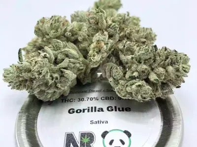 Natural Remedies - Gorilla Glue Strain