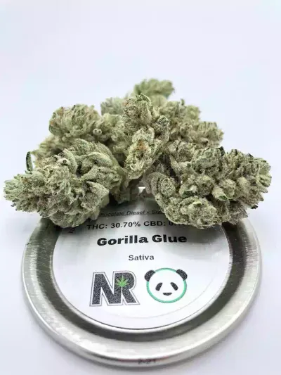 Natural Remedies - Gorilla Glue Strain