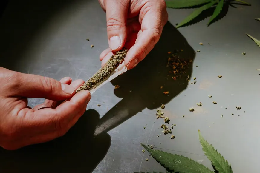 Cannabis Joint being rolled for Natural Remedies in Portland.