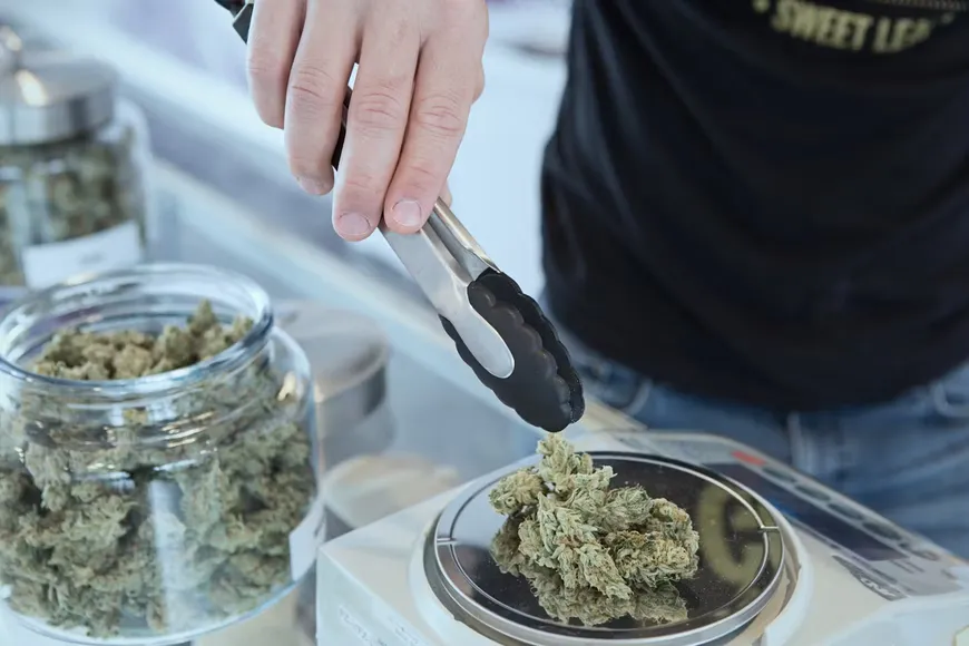 Flower being weighed, Natural Remedies in Portland.